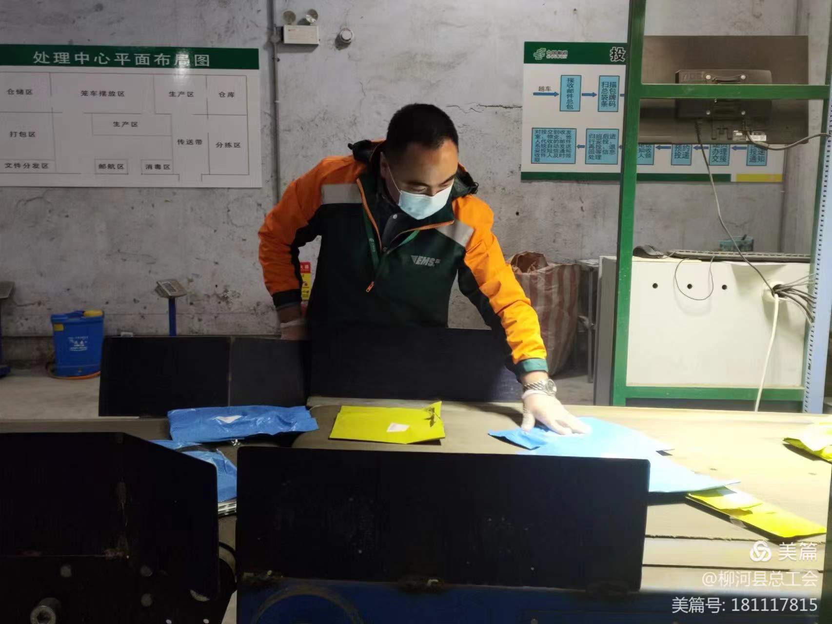 图片12