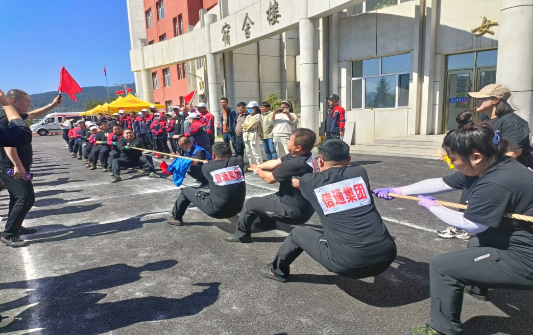 图片4